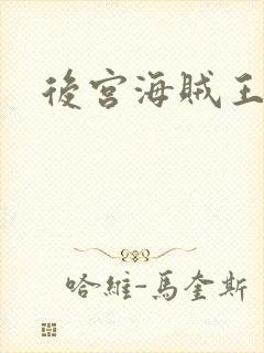 后宫海贼王下载