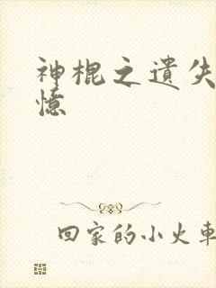 神棍之遗失的记忆