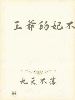 王爷的妃不是妃