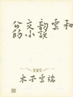 公交韵云和小健的小说