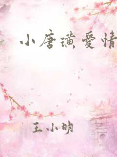 小唐璜爱情历史