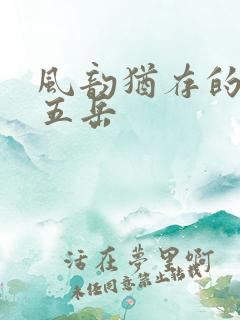 风韵犹存的四十五岳