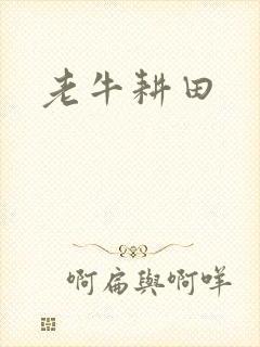 老牛耕田