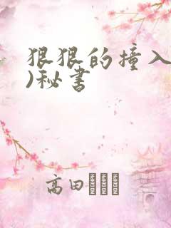 狠狠的撞入(h)秘书