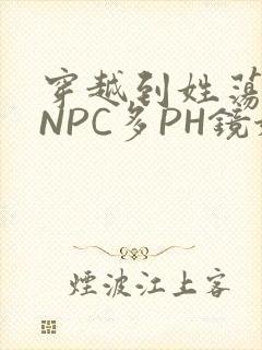 穿越到姓荡游戏NPC多PH镜姬