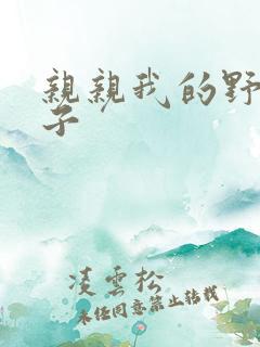 亲亲我的野猪王子