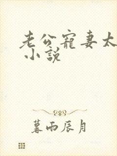 老公宠妻太甜蜜 小说