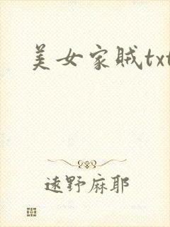 美女家贼txt