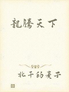 龙腾天下
