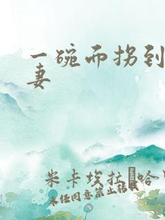 一碗面拐到美艳妻