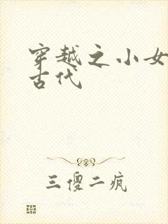 穿越之小女子闹古代