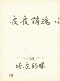 夜夜销魂 小说