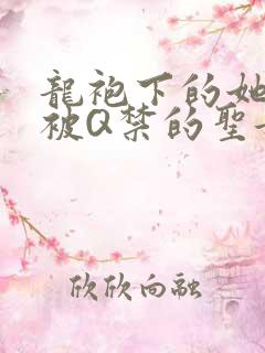 龙袍下的她皇嫂被Q禁的圣女
