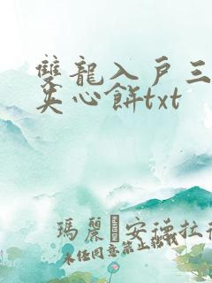 双龙入户三人行夹心饼txt