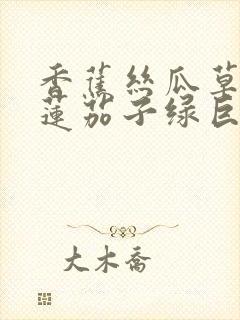 香蕉丝瓜草莓榴莲茄子绿巨人免费