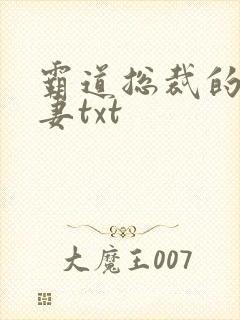 霸道总裁的挂名妻txt