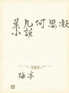 叶凡何思凝七月小说