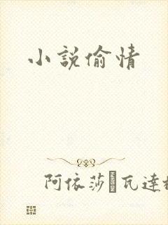 小说偷情