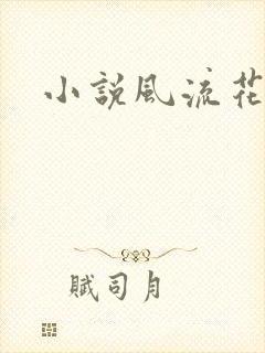 小说风流花少