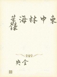 叶海林中东风云录