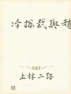 冷总裁与赵大牌