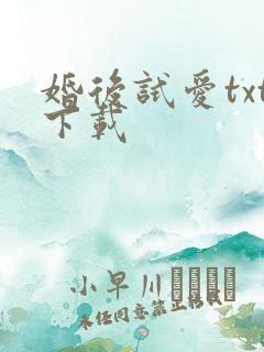 婚后试爱txt下载