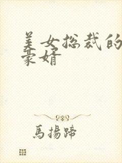 美女总裁的顶级豪婿