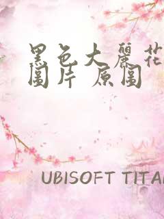 黑色大丽花真实图片 原图