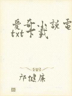 爱奇小说电子书txt下载