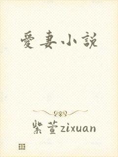 爱妻小说