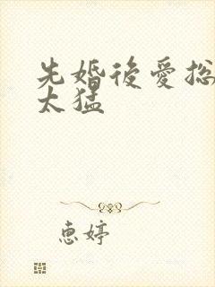 先婚后爱总裁别太猛