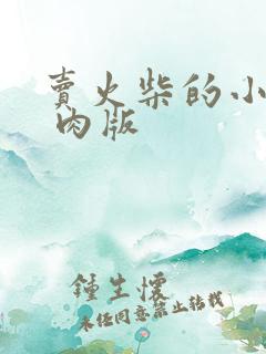 卖火柴的小男孩 肉版