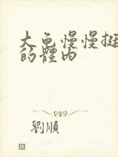 大龟慢慢挺进我的体内