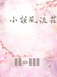小说风流花少