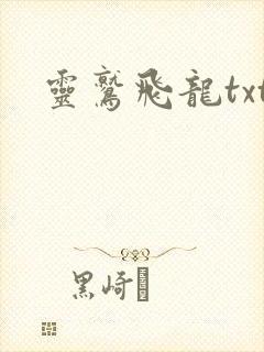 灵鹫飞龙txt