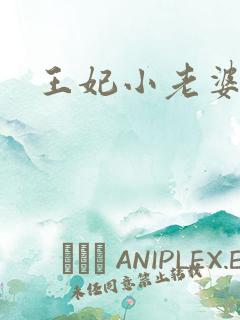 王妃小老婆
