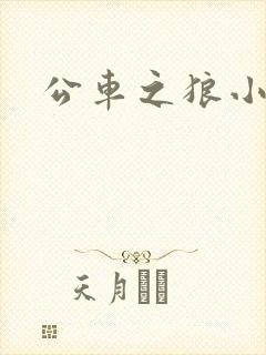公车之狼小说