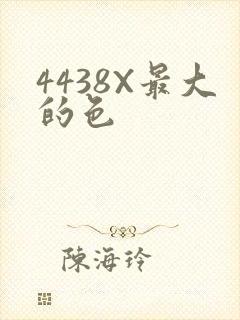 4438X最大的色