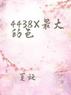 4438X最大的色