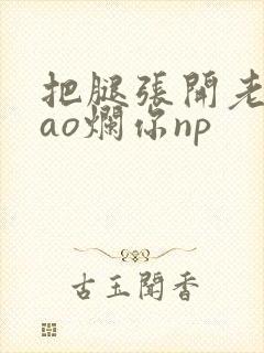 把腿张开老子cao烂你np