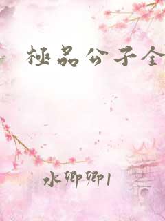 极品公子全集