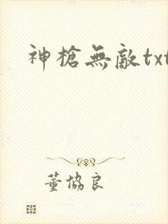 神枪无敌txt