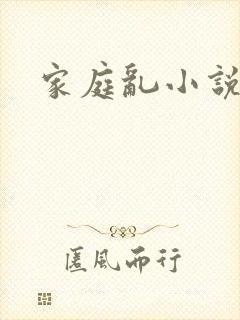家庭乱小说