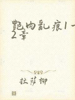 艳肉乱痕1一12章