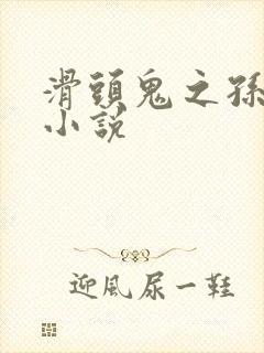 滑头鬼之孙官方小说