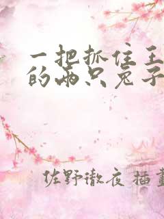 一把抓住王昭君的两只兔子