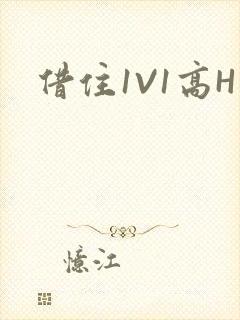借住1V1高H