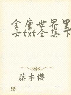 金庸世界里的道士txt全集下载