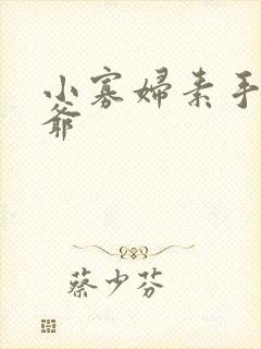 小寡妇素手擒四爷