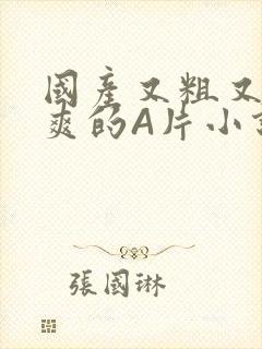 国产又粗又黄又爽的A片小说